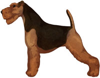 Black and Tan Welsh Terrier