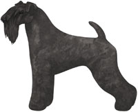 Black Kerry Blue Terrier